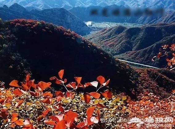 京郊12处 风景如画的春游景点[墙根网]