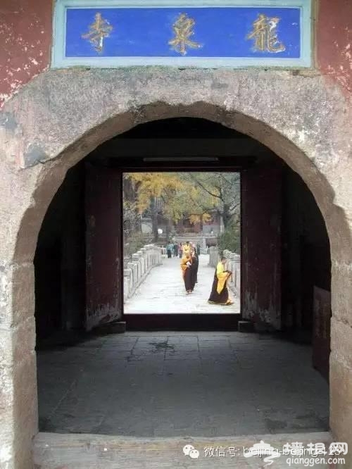 京郊12处 风景如画的春游景点[墙根网]
