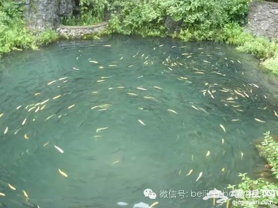 京郊12处 风景如画的春游景点[墙根网]