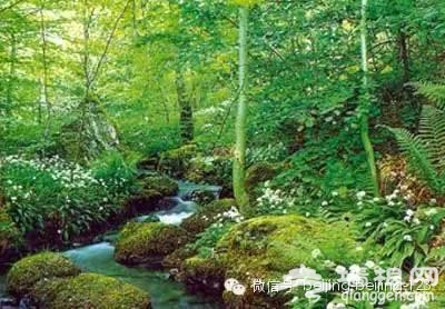 京郊12处 风景如画的春游景点[墙根网]