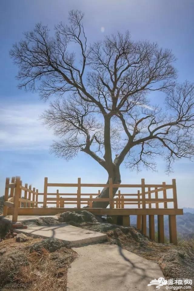 这是帝都最后的世外桃源？[墙根网]