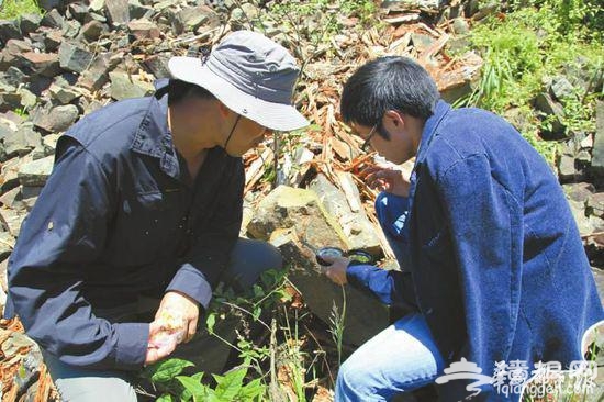专家对玄武岩进行测量