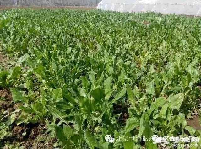 点击查看下一页