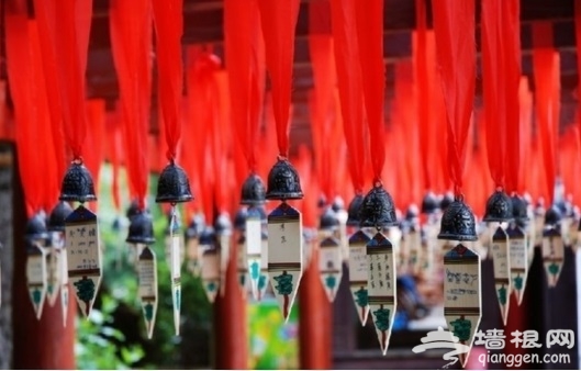 京郊“五一”游玩活动汇总 有你心动的吗？[墙根网]