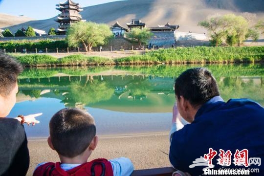 敦煌月牙泉再现罕见“铁背鱼”引游人围观