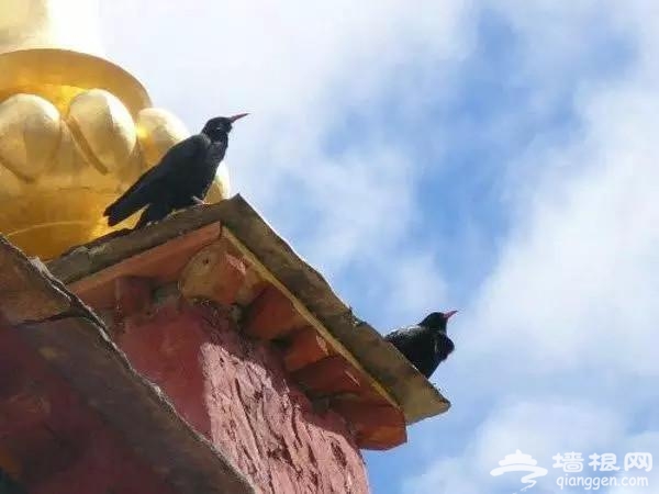 中国最神秘邪门的地方 去过吗[墙根网]