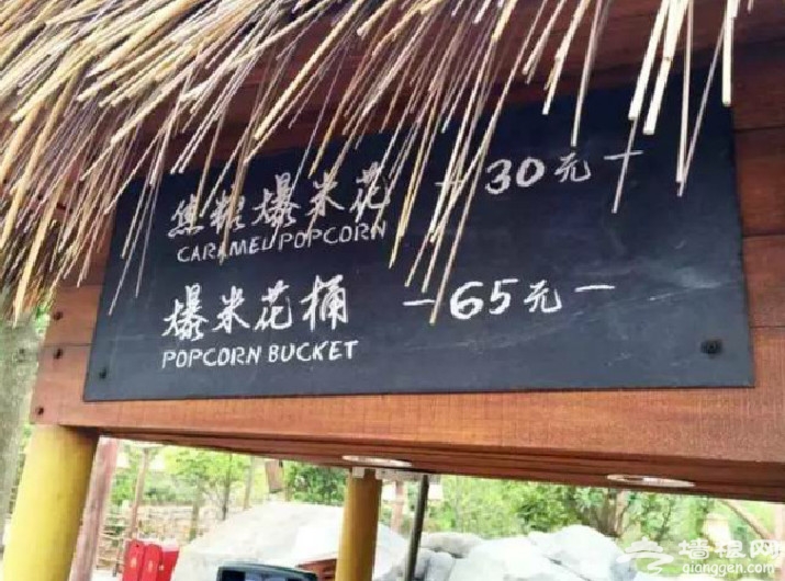 “上海饭坑”迪士尼美食被吐槽 伙伴称下次自带盒饭[墙根网]