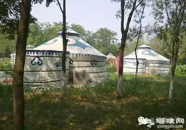 孩子最爱的露营公园，北京有7家，你去过吗？[墙根网]