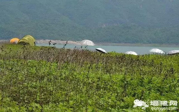 孩子最爱的露营公园，北京有7家，你去过吗？[墙根网]