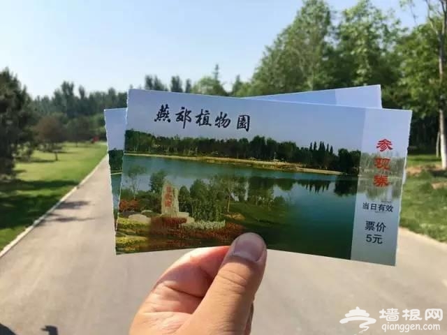 燕郊植物园初夏美拍 带您走进燕郊的绿色[墙根网]
