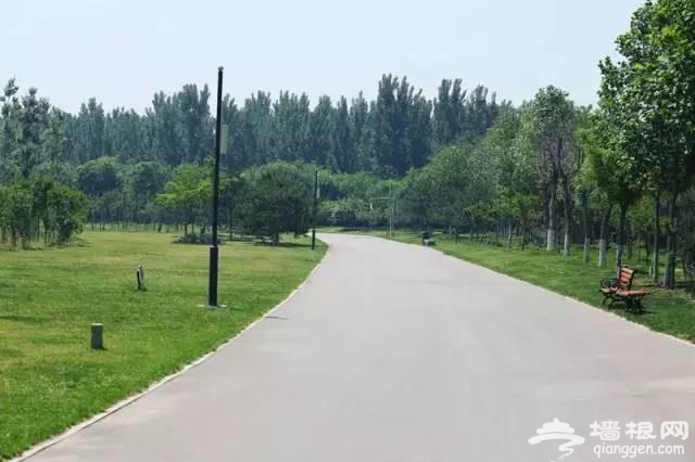 燕郊植物园初夏美拍 带您走进燕郊的绿色[墙根网]