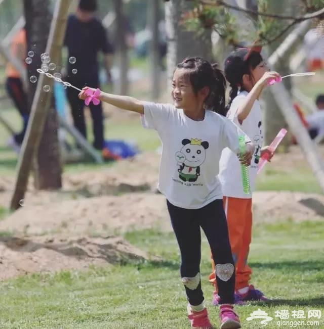 燕郊植物园初夏美拍 带您走进燕郊的绿色[墙根网]