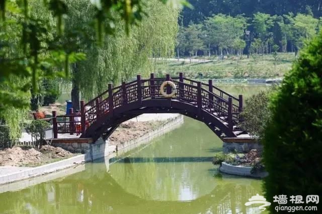 燕郊植物园初夏美拍 带您走进燕郊的绿色[墙根网]