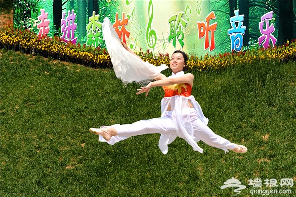 北京市第四届森林音乐会在西山森林公园持续奏响[墙根网]