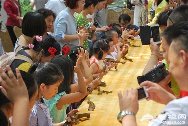 北京云湖度假村2016端午节活动详情[墙根网]