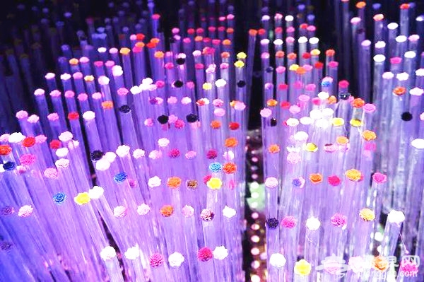 全球首座月季博物馆 独一无二的赏花体验[墙根网]