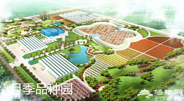 全球首座月季博物馆 独一无二的赏花体验[墙根网]