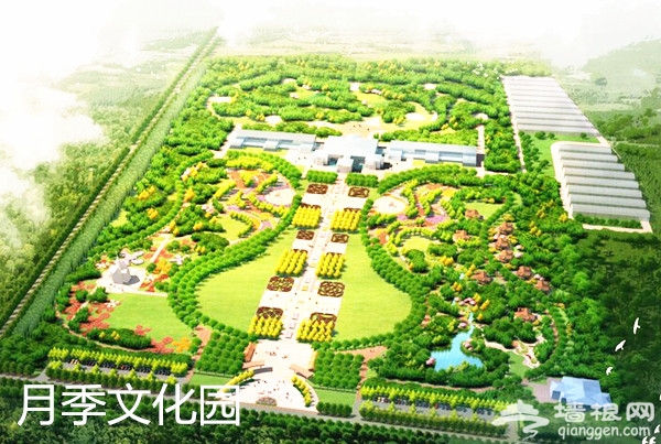 全球首座月季博物馆 独一无二的赏花体验[墙根网]