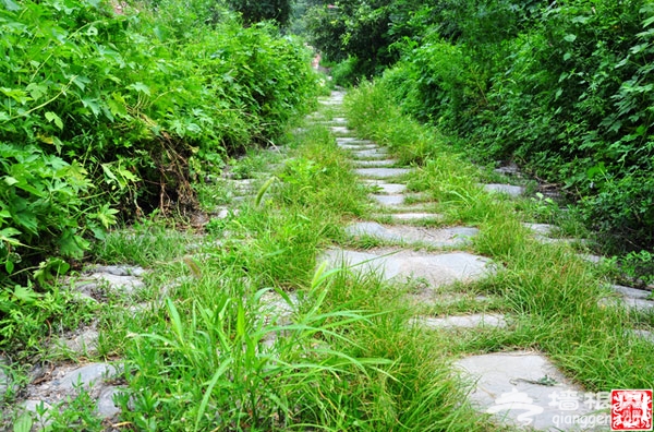 京郊芦潭古道 马蹄声声今犹在