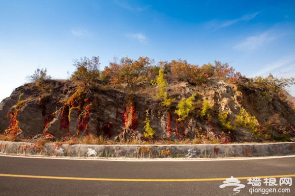 京郊仓米古道 秋游移步换景