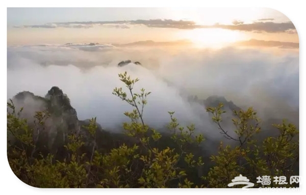河北7大景区云海美若仙境 是天上还是人间？[墙根网]