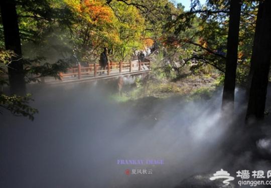 北京公园端午节举行主题游园会 植物园“水杉林喷雾”开放