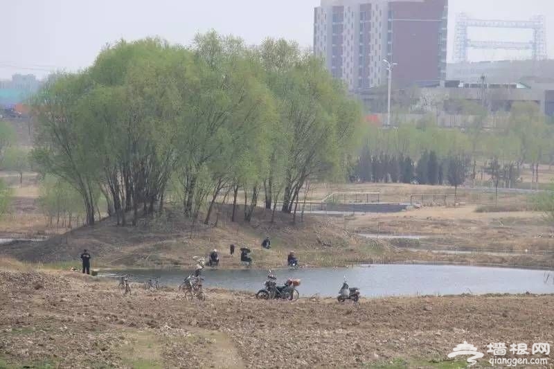 北京昌平滨河公园的前身今世 如今景色更美了[墙根网]