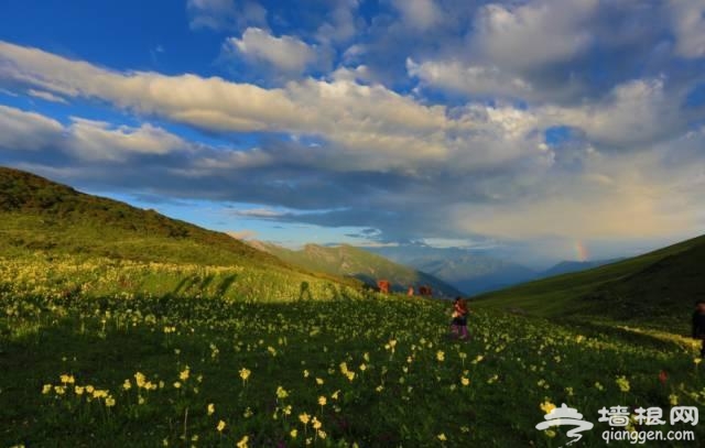 6月四川将有大波美景到来 错过再等一年！[墙根网]