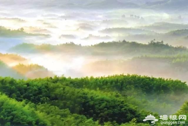 6月四川将有大波美景到来 错过再等一年！[墙根网]