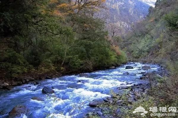 6月四川将有大波美景到来 错过再等一年！[墙根网]