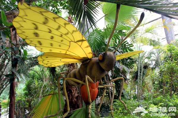 巨型亚马逊昆虫出没 天津热带植物观光园迎暑期精彩不断[墙根网]