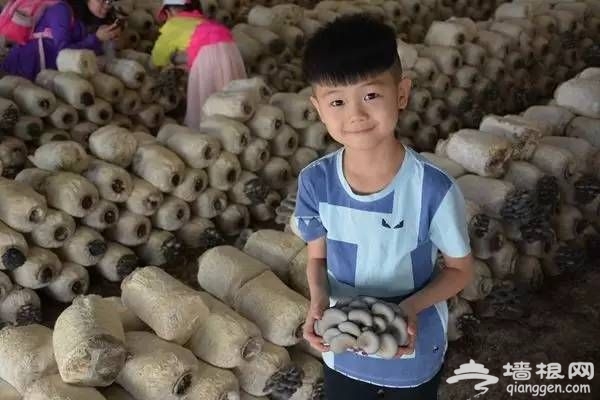 北京延庆葡语农庄快乐父亲节特别活动[墙根网]
