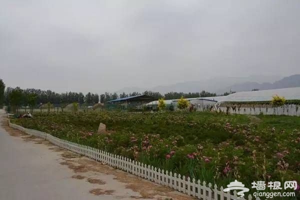 北京延庆葡语农庄快乐父亲节特别活动[墙根网]