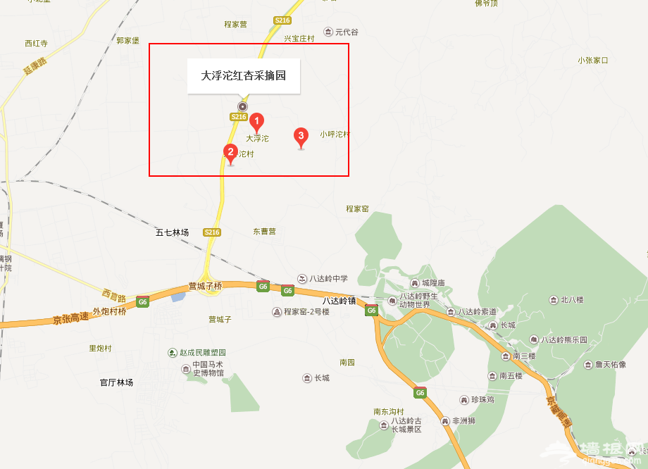北京延庆大浮坨村红杏采摘园指南[墙根网]