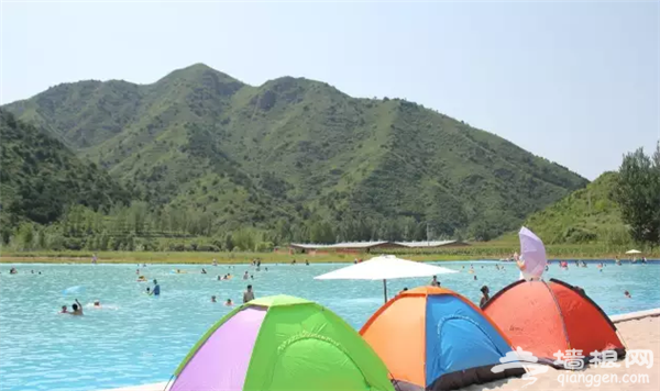 京郊游好去处——人间花海6.18开园啦[墙根网]