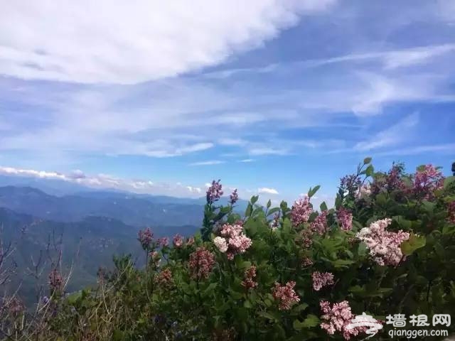 北京房山百花山风情节[墙根网]
