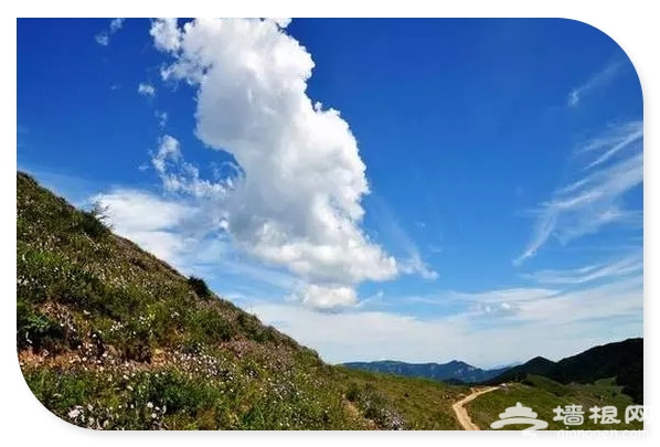 来场色彩之旅 你最爱北京哪种颜色？[墙根网]