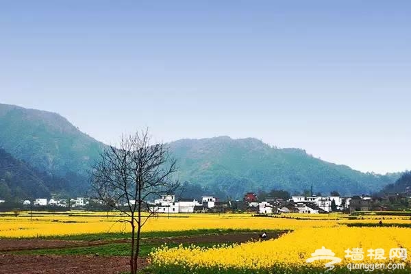中国最美的10座小城，你走过几个？[墙根网]