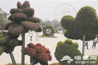 天津水上公园添美景 立体花卉迎客来[墙根网]