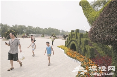 天津水上公园添美景 立体花卉迎客来[墙根网]