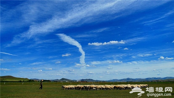 七月游河北 这五个经典景点不要错过哦[墙根网]
