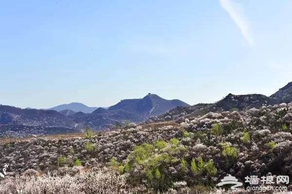 2016北京八达岭古长城八一建军节优惠活动[墙根网]