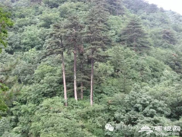 2016北京延庆玉渡山风景区七夕节免门票活动[墙根网]