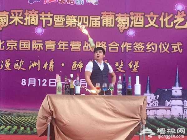 张裕爱斐堡第七届葡萄采摘节•暨第四届葡萄酒文化艺术节[墙根网]