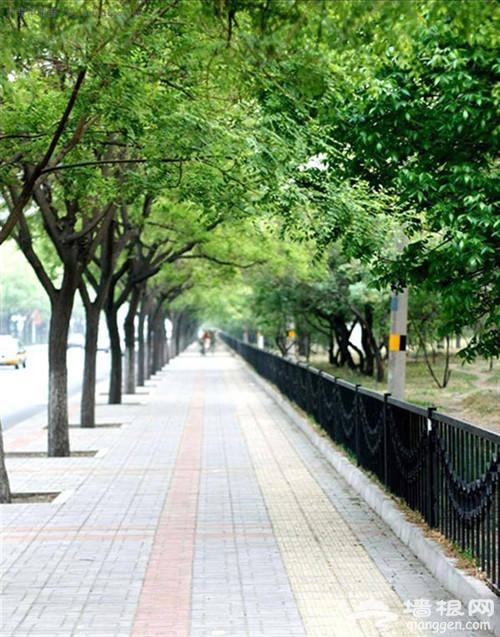 养眼帝都：京城美女地图全攻略 萌妹御姐一网打尽