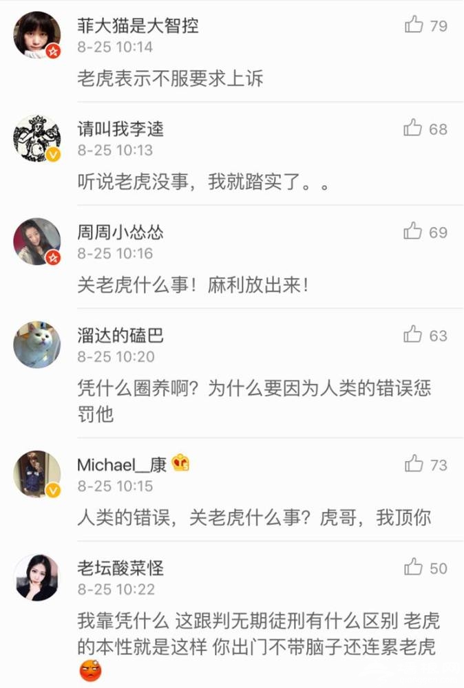 “老虎吃人”事件中，监控镜头外的一个细节让人想哭[墙根网]
