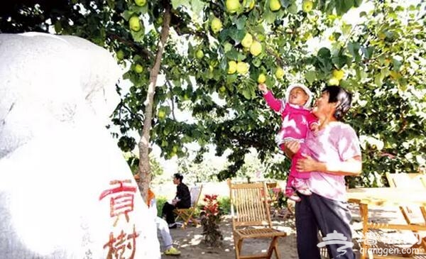 大兴庞各庄两条推荐线路，你玩儿过了没？[墙根网]