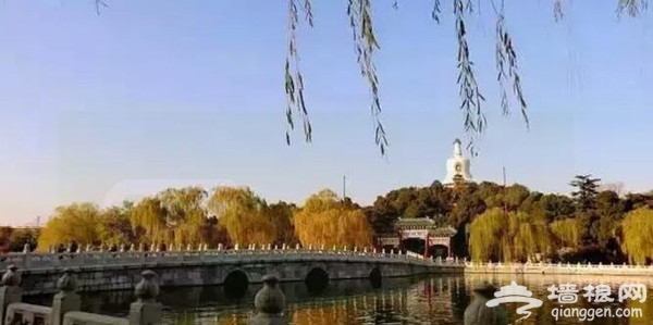 还需一个月 迎接北京最美金秋[墙根网]