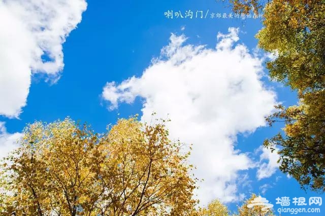 九月别约我 我去京郊最美的原始森林赏秋色了