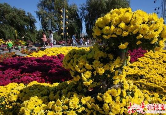  2019北京世园会园区本月开工 30余个国家已表达参展意向